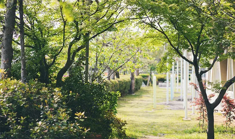 自然のリズムに身をゆだね、「こころの真の回復」を願う - 海の病棟 | 福岡県大牟田市 不知火病院(うつ病の治療・入院・カウンセリング)