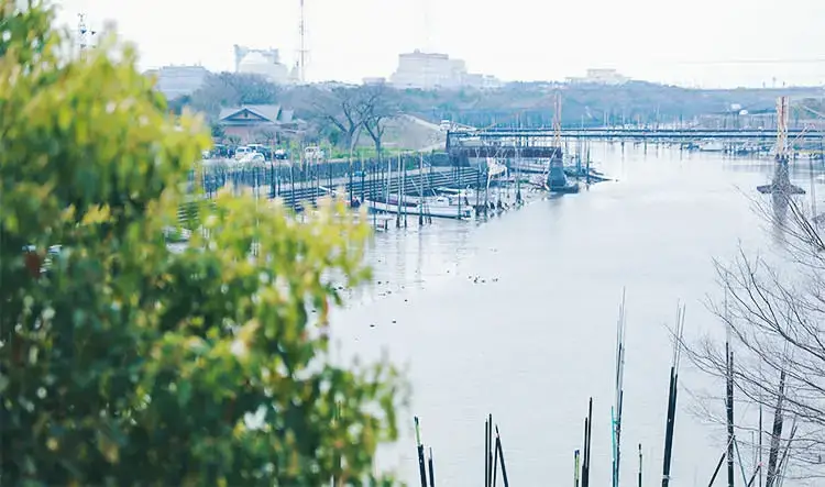 内海である有明海に流れる堂面川河口 - 海の病棟 | 福岡県大牟田市 不知火病院(うつ病の治療・入院・カウンセリング)